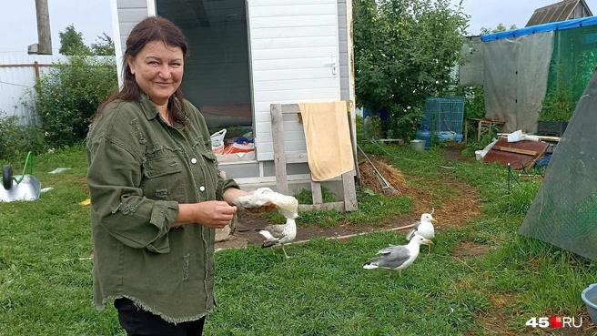 Инна Журавлева спасает попавших в беду животных и птиц | Источник: Анна Сарапульцева /45.RU
