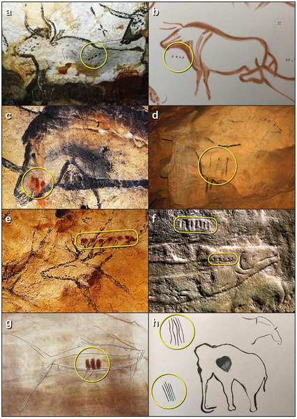 Не просто точки и линии: что означают отметки на рисунках, которые созданы 37 тысяч лет назад?