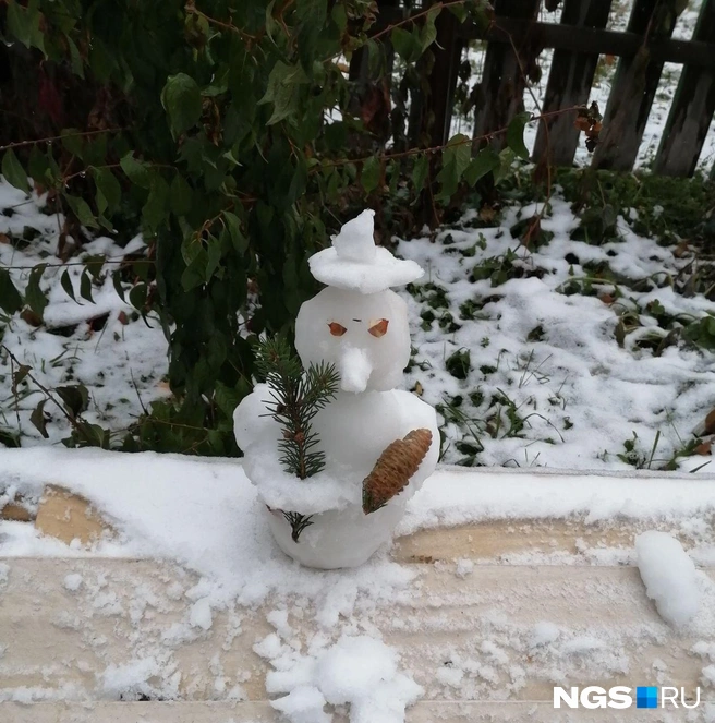 Источник: читатель НГС