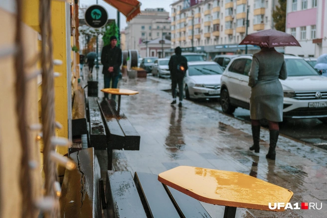 Какая погода ждет барнаульцев в ближайшие семь дней | Источник: Булат Салихов / UFA1.RU