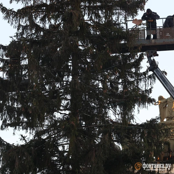 Источник: Валентин Егоршин/FONTANKA.RU