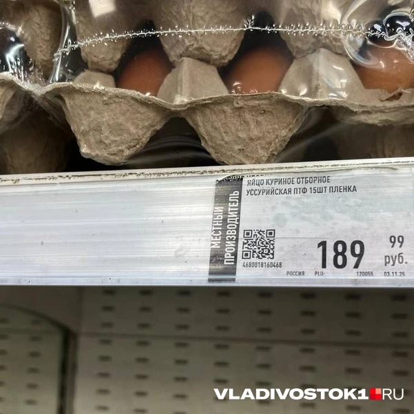 Источник: Елена Буйвол / VLADIVOSTOK1.RU