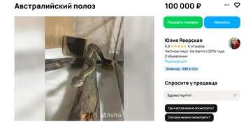 Его стоимость 100 тысяч рублей | Источник: Авито