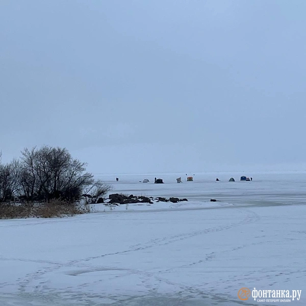 Источник: Любовь Хмелевская / «Фонтанка.ру»