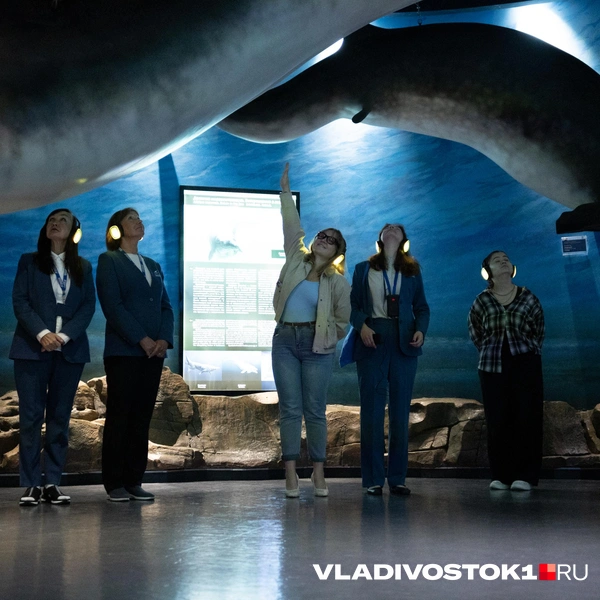Источник: Елена Буйвол / VLADIVOSTOK1.RU