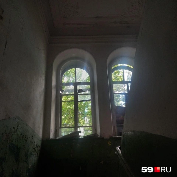 Источник: Карина Гольдберг, читатель 59.RU