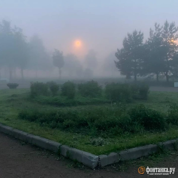 Источник: «Фонтанка.ру»