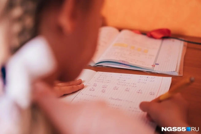 Кроме того, отменяются занятия в кружках и спортивные тренировки | Источник: Елена Латыпова / NGS55.RU