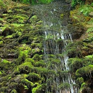 Источник: tripadvisor.ru