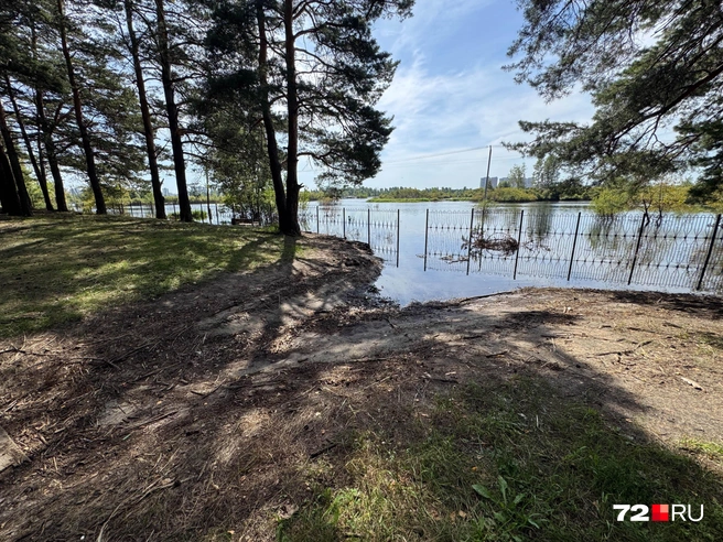 Некоторые участки парка все еще отрезаны водой&nbsp;— пройти привычным маршрутом пока получится не везде | Источник: Илья Чикотин / 72.RU