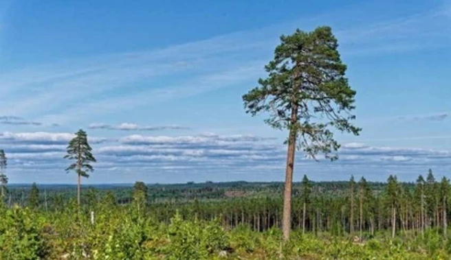 Контролирующие органы следят за соблюдением карантинных требований | Источник: nk-tv.com