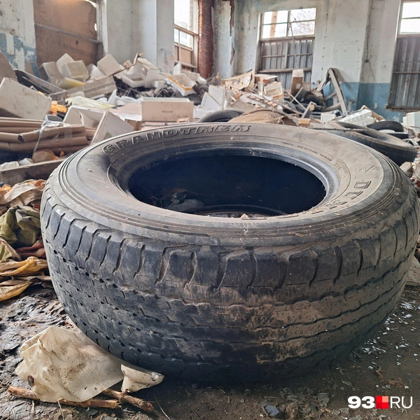 Источник: Максим Дмитриев / 93.RU