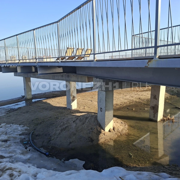 Источник: Алёна Воропаева/ Voronezh1.ru