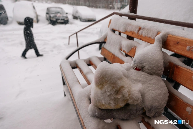 Источник: Максим Серков / NGS42.RU