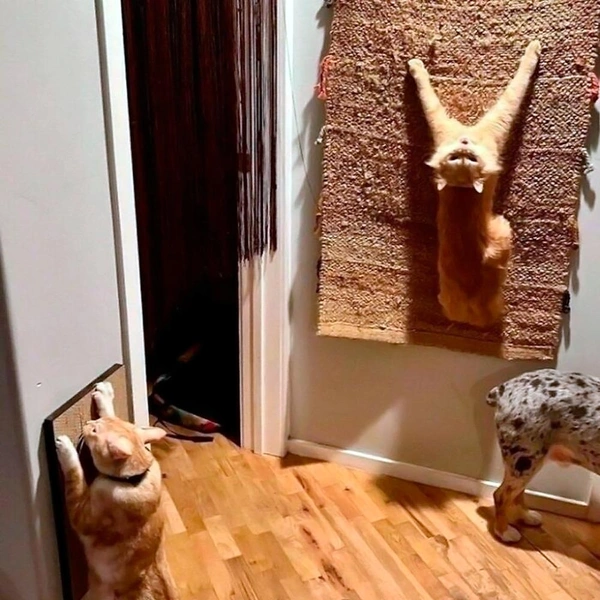 Источник: соцсети