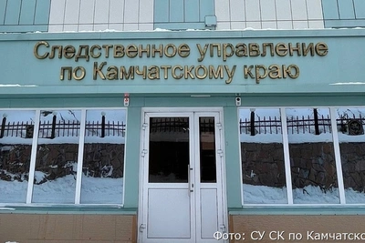 На Камчатке бизнес-леди скрыла от налоговой 32 млн рублей