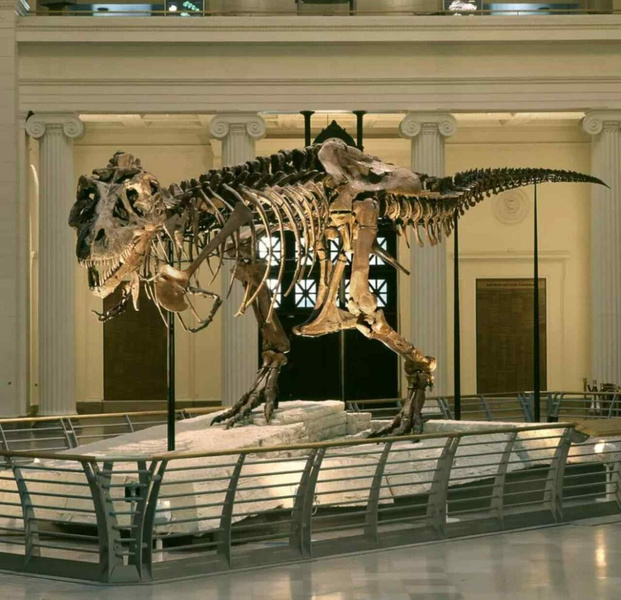 Тираннозавру Тристану Отто поставили диагноз
