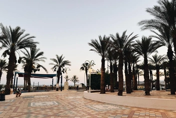 Встретить Шаббат на пляже, увидеть 4 страны и поплавать с дельфинами: как отдохнуть в Эйлате в 2026 году