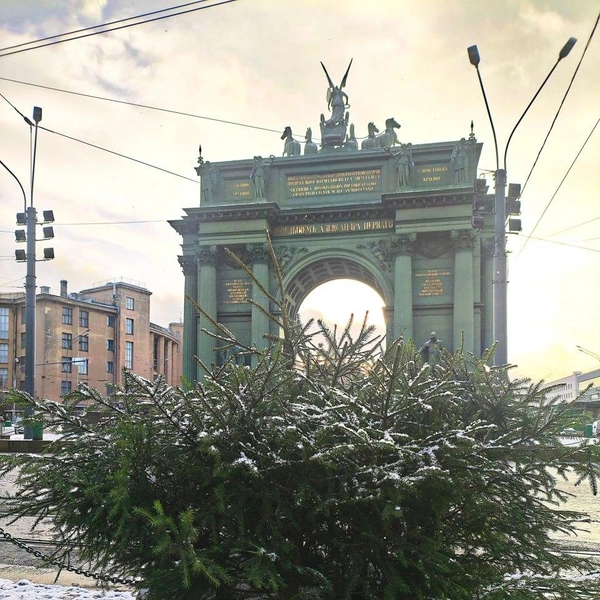 Источник: Комитет по благоустройству Санкт-Петербурга