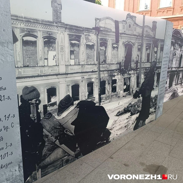 Источник: Алёна Воропаева / Voronezh1.ru