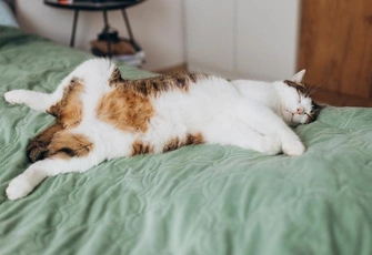 «Семь пятниц на неделе»: что не так с людьми, которые меняют свои решения слишком часто