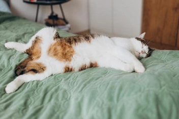 «Семь пятниц на неделе»: что не так с людьми, которые меняют свои решения слишком часто