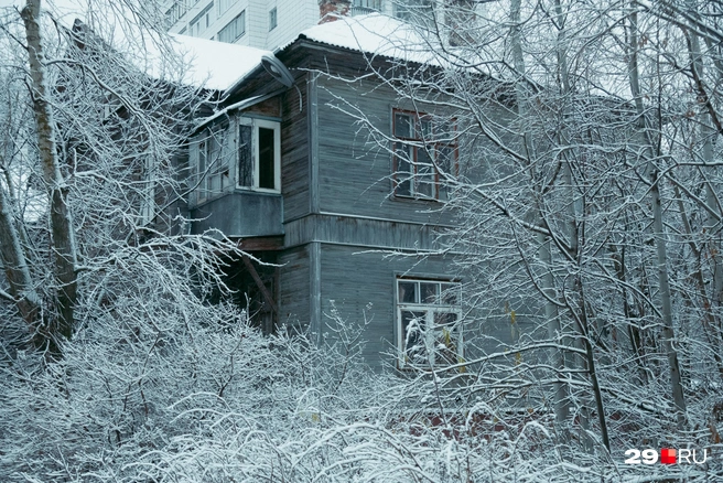 Источник: Иван Митюшёв / 29.RU 