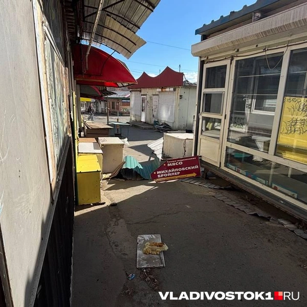 Источник: Елена Буйвол / VLADIVOSTOK1.RU