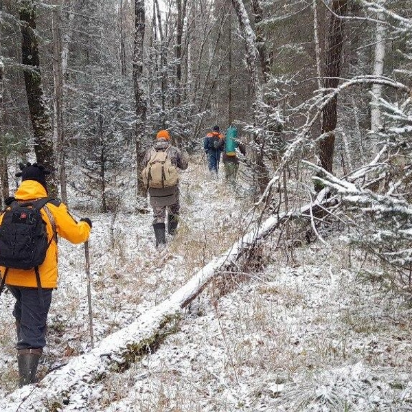 Источник: ДПСО «ЛизаАлерт» Красноярского края / Telegram