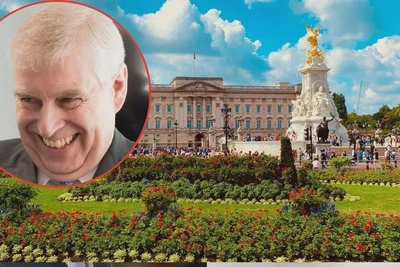 Бывшие сотрудники Эндрю Уиндзора в панике из-за допросов