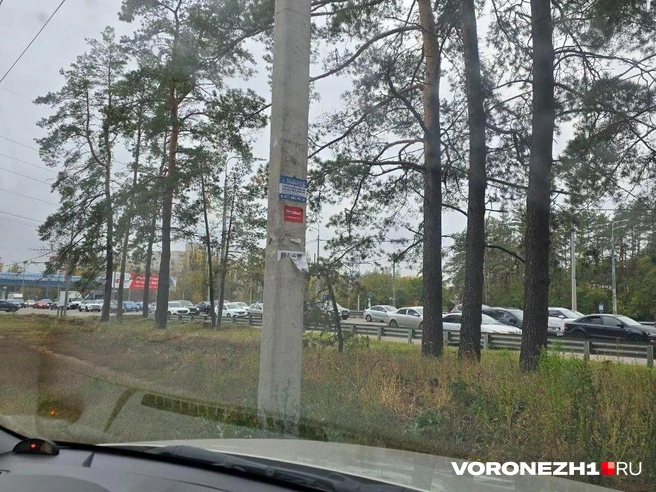 Пробки есть на нескольких улицах Воронежа | Источник: читатель Voronezh1.ru