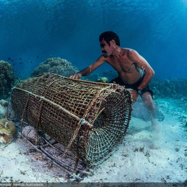Финалист в номинации «Портфолио» | Источник: Max Holba / Underwater Awards Australasia 2025