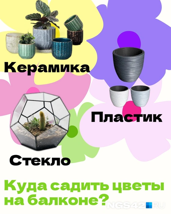 Источник: Татьяна Ирискина / NGS42.RU