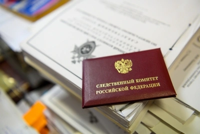 Бывший полицейский и двое жителей Калининграда предстанут за незаконную рубку