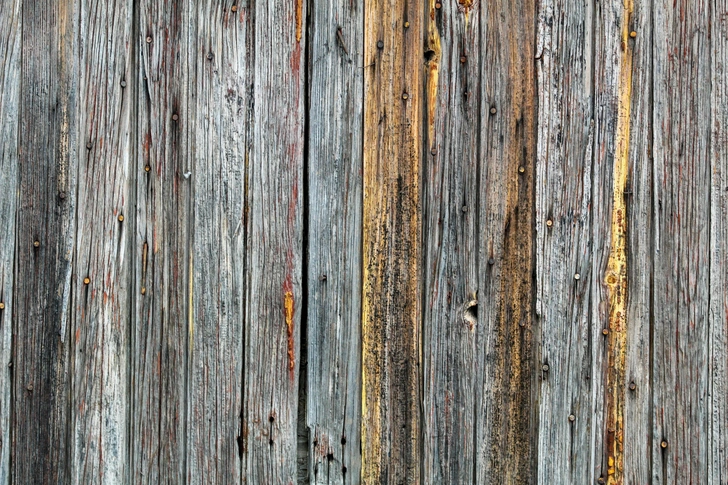Источник: unsplash