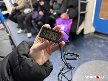 Другой прибор показал температуру на три градуса выше | Источник: Алина Мельникова / MSK1.RU