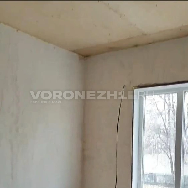Источник: Татьяна Тельпис / Voronezh1.ru