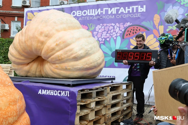 Источник: Артем Устюжанин / MSK1.RU