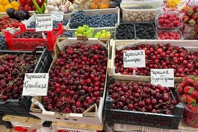 В Волгограде начался сезон черешни: местная вымерзла, цена кусается