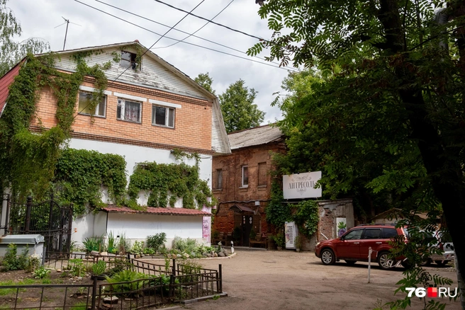 Проходим дальше и видим кучу зелени | Источник: Кирилл Поверинов / 76.RU