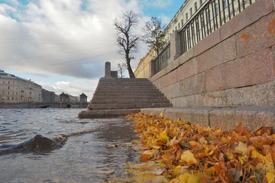 Вода в Неве держится выше нормы
