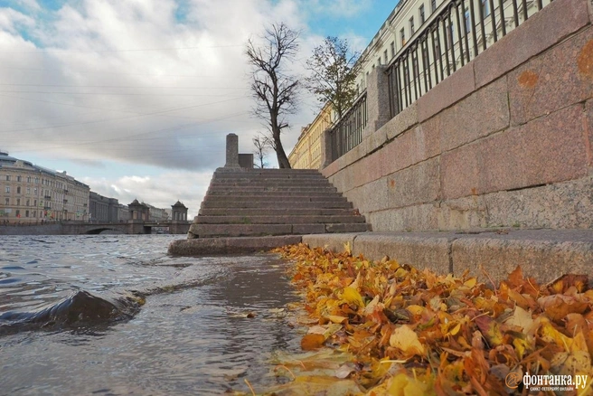 Уровень воды в Неве все еще выше нормы. Фото | Источник: Михаил Огнев / FONTANKA.RU