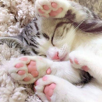 Аватарка Котенок