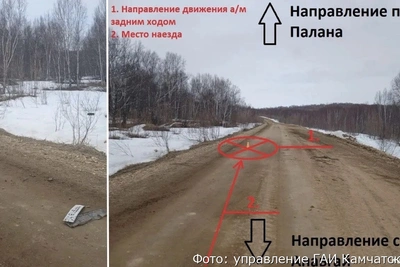 Прокуратура одобрила возбуждение дела после ДТП на Камчатке