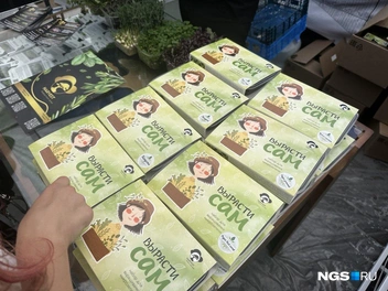 Смесь для огорода на подоконнике  | Источник: Павел Пешков / NGS.RU