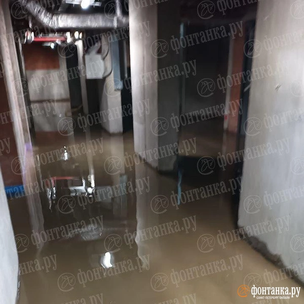 Источник: читатель «Фонтанки»