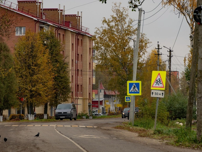 Улицы деревни отличаются малолюдностью | Источник: Кирилл Поверинов / 76.RU