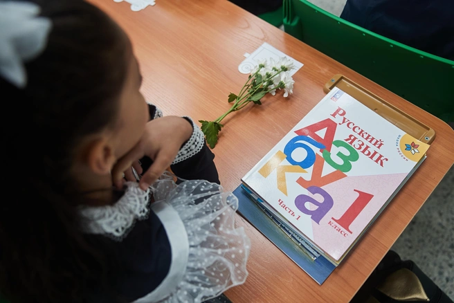 Успехи в обучении связаны не только с количеством, но и с качеством занятий | Источник: Александр Ощепков / NGS.RU