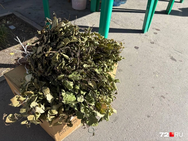 Свои березовые веники пенсионеры продают по 250 рублей. Они прекрасно справляются со своей задачей в бане | Источник: Мария Токмакова / 72. RU