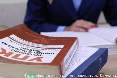 Елизовчанка обвиняется в незаконном получении детского пособия